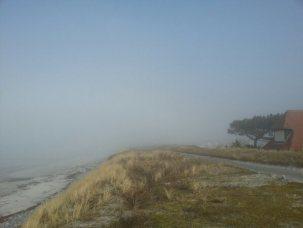 Nebel auf der Insel