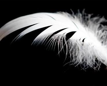 wallpaper-1689754