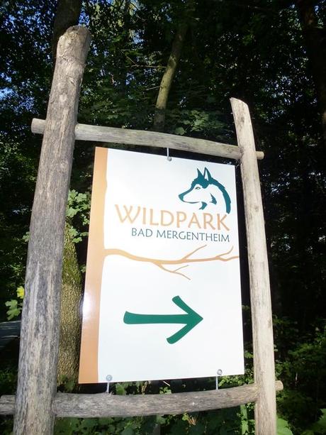 Wildpark in Bad Mergentheim - auch der schönste Ausflug geht einmal zu Ende