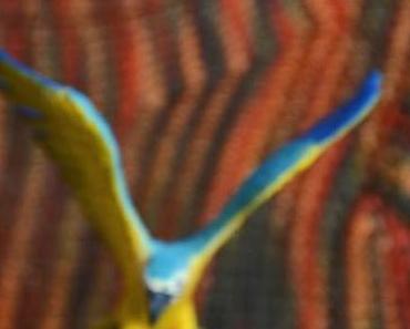 Lady DIY: Selbermacherinnen am Freitag #5