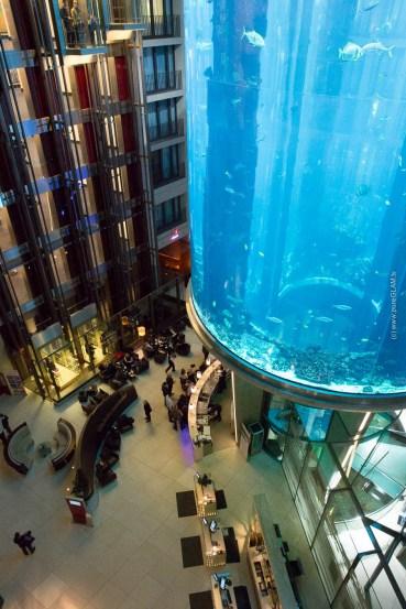 Radisson Blu Hotel Berlin - Karl Liebknecht Straße - Direkt an der Spree - Aquadom und Sealife - Zimmer mit Meerblick