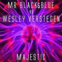 Mr Black&Blue vs. Wesley Verstegen - Majestic