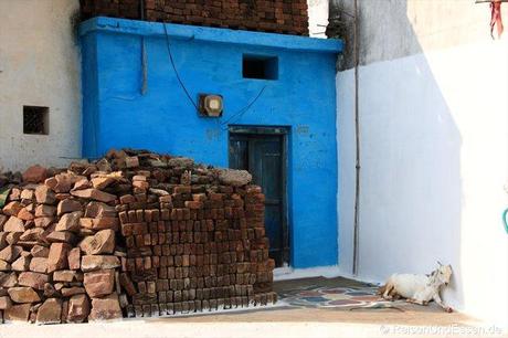 Blaues Haus und Ziege macht ein Nickerchen in Khajuraho