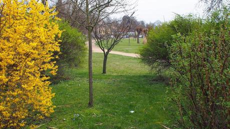 Frühling im Havelland (Werder)