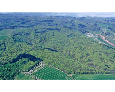Neuer Urwald in Deutschland
