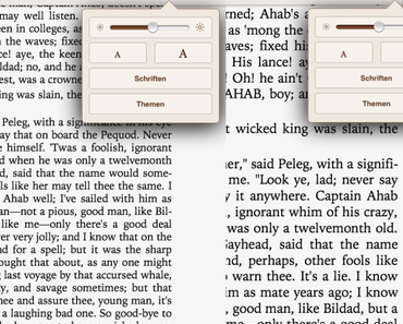 Bücher auf Ihrem iPad anpassen