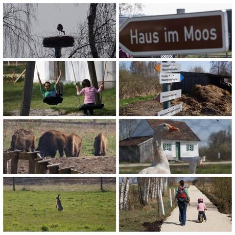 Ausflugstipp mit Kindern: Haus im Moos