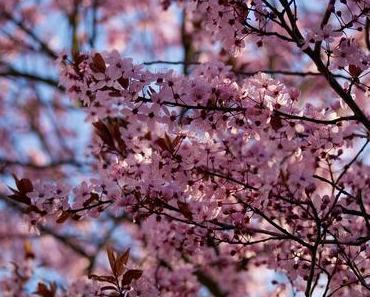 mind & soul // Höflichkeit im Alltag