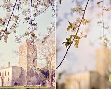 Reise in die Vergangenheit