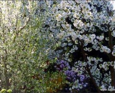 Positiv gedacht im April