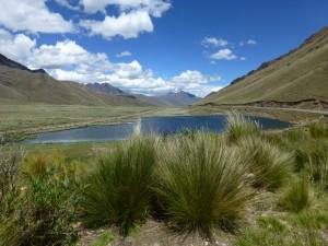 Pass Abra la raya zwischen Cusco und Puno