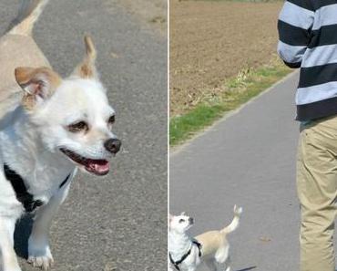 Warum es als Frau schwieriger ist mit Männern einzukaufen als umgekehrt...