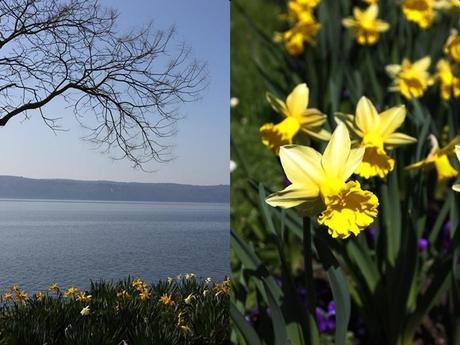 Spring at Lake Constance {Part I}
