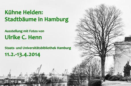 Ulrike C. Henn: Kühne Helden - Stadtbäume in Hamburg
