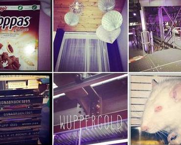 InstaWeek "Shift, visit and a sick rat"