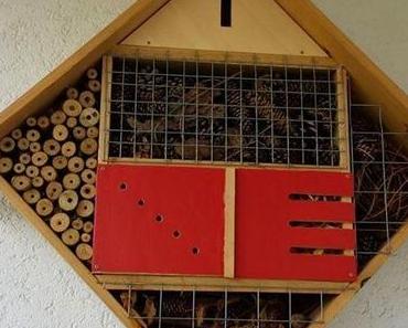 News vom Insektenhotel