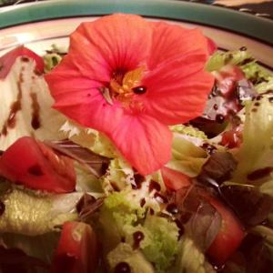 Salat mit Kapuzinerkresse