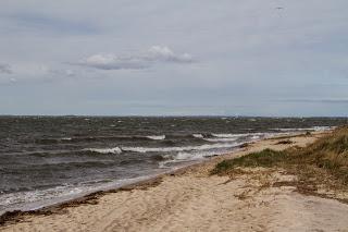 An der Ostsee (4)