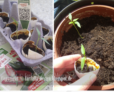 Heute geht`s nach draussen * Jalapeno