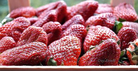 Lust auf Erdbeeren?