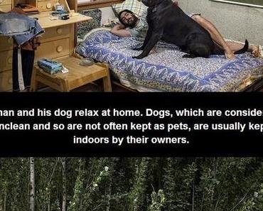 Von wegen streng religiös: Die andere Seite von Iran