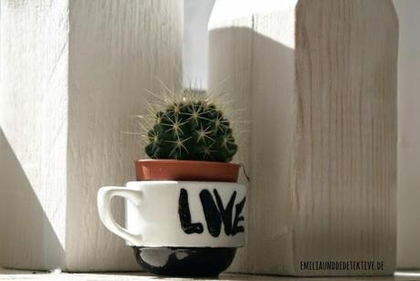 Kaktus Love & die Urban Jungle Blogger
