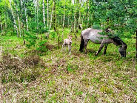 Stippvisite und Kontrollbesuch