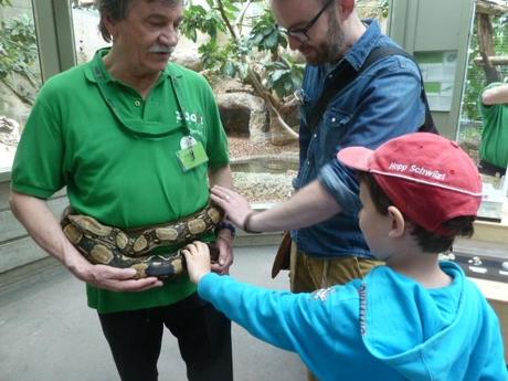 Ferienprogramm: Ein eindrücklicher Tag im Zoo Zürich