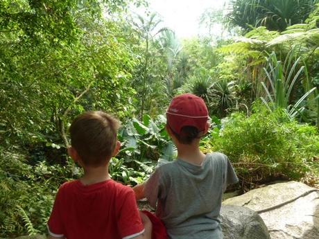 Ferienprogramm: Ein eindrücklicher Tag im Zoo Zürich