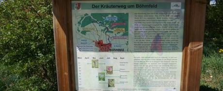 Ausflugstipps mit Kindern: Böhmfelder Kräuterweg und Spielplatz