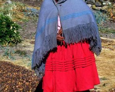 Gefriergetrocknete Kartoffeln