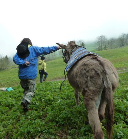 Ferienprogramm: Eine Eselswanderung im Toggenburg