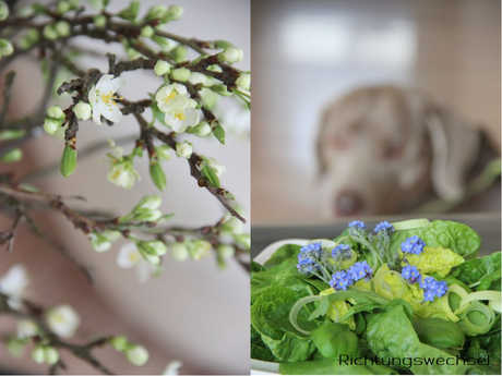 MARKT IN LUDWIGSBURG & ESSBARE BLUMEN