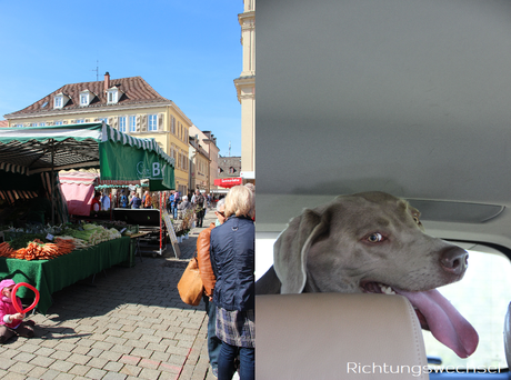 MARKT IN LUDWIGSBURG & ESSBARE BLUMEN