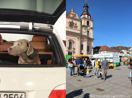 MARKT IN LUDWIGSBURG & ESSBARE BLUMEN