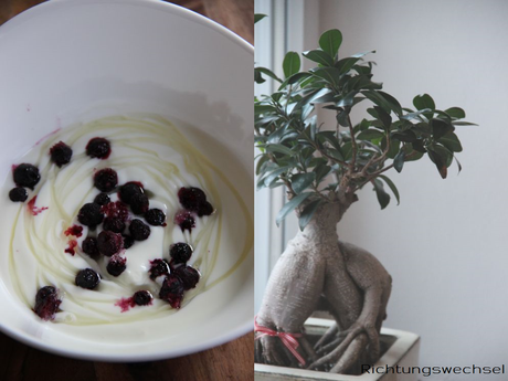 KEIN SCHÖNER TAG HEUTE - SCHWEIZER BÜRLI UND HEIDELBEEREN