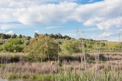 Wetlands – Birdwatching – SaniGreen – Eco-Tourismus – Griechenland
