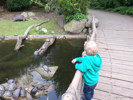 Ein Tag im Duisburger Zoo