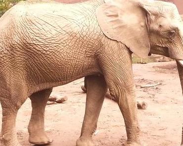 Ein Tag im Duisburger Zoo