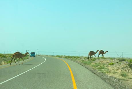Oman Straßenvrkehr