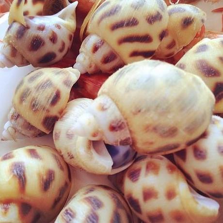 Surprisingly delicious sea snails for dinner 🐌🐌🐌 #yummy #seafood...