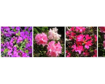 Sharing is caring...oder: Beautygeplänkel