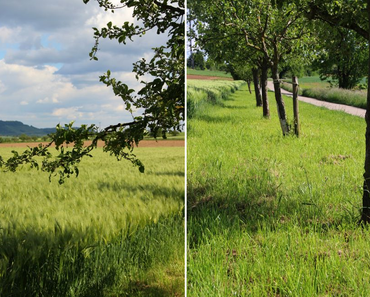 REGENWETTER UND WOLKENBILDER