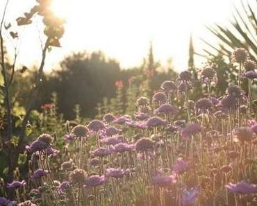 The Doors – Light My Fire (Arts And Lohr Remix) – free MP3