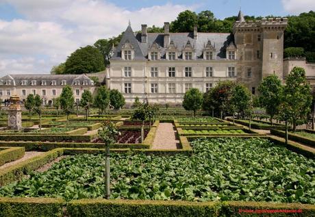 Frankreich Urlaub, reisen in Frankreich, Campingurlaug Frankreich, Schlösser der Loire, Schloss Villandry, Garten Schloss Villandry