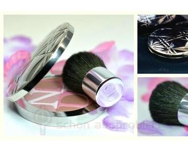 Review Diorskin Nude Shimmer Instant Illuminating Powder aus der Transat Sommerkollektion