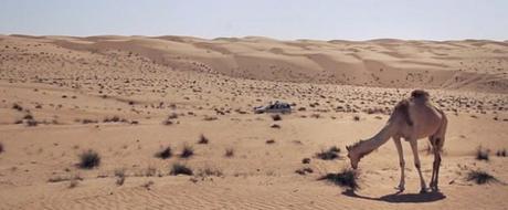 Reisevideo von einem 2 wöchigen Trip im Oman
