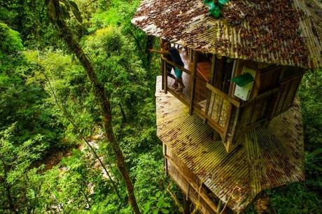 Finca Bellavista: Baumhaus im Dschungel von Costa Rica