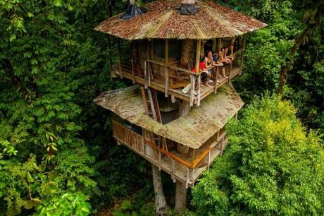 Finca Bellavista: Baumhaus im Dschungel von Costa Rica