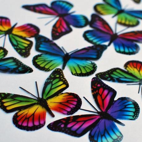 Regenbogen Monarch Schmetterlinge